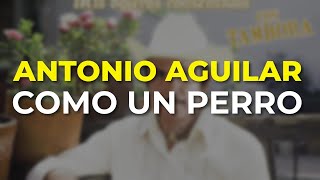 Watch Antonio Aguilar Como Un Perro video