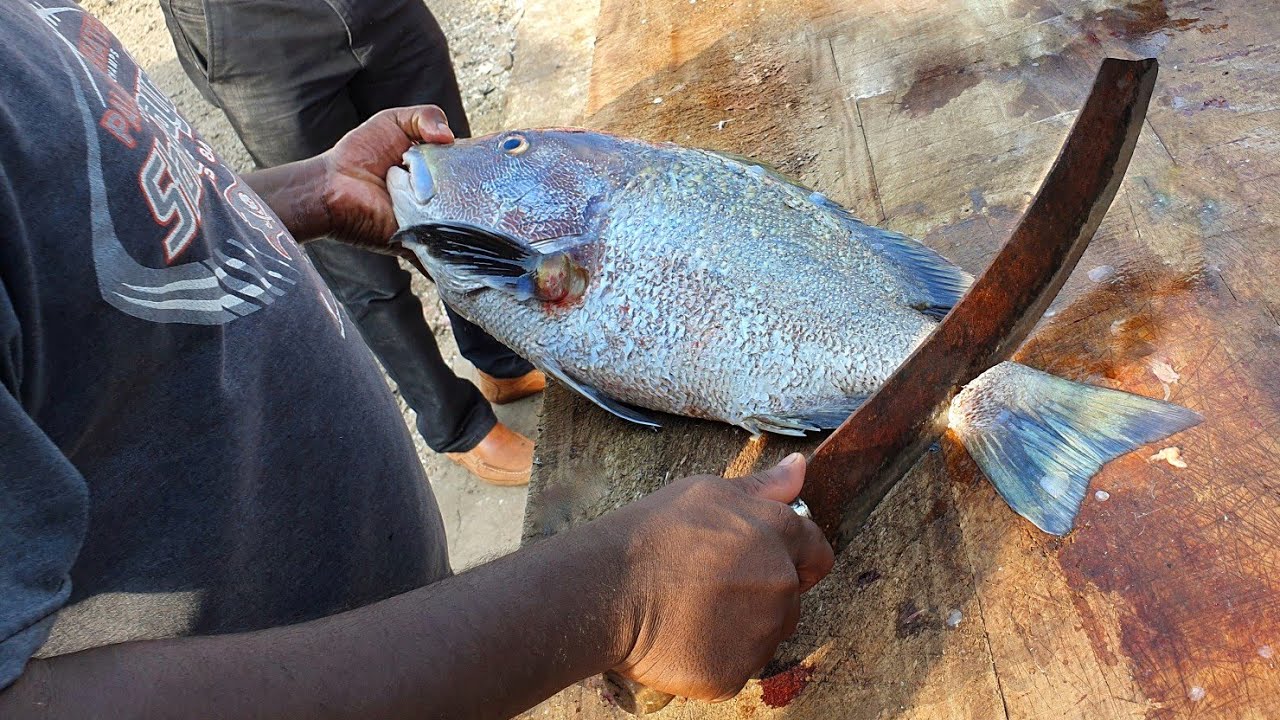 Huge Blubber Lip Snapper Fish Cutting in SriLanka 🇱🇰 | Snapper Fish Cutting | කුරුවිලියා