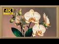 Timeless White Orchids | Frame TV Art for Purity &amp; Harmony [4K UHD]