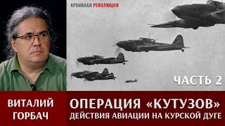 Виталий Горбач о действиях авиации в операции \