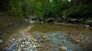 Gentle Water Flow ASMR | Nature Sounds from Forest Stream to Calm the Mind and Help Sleep