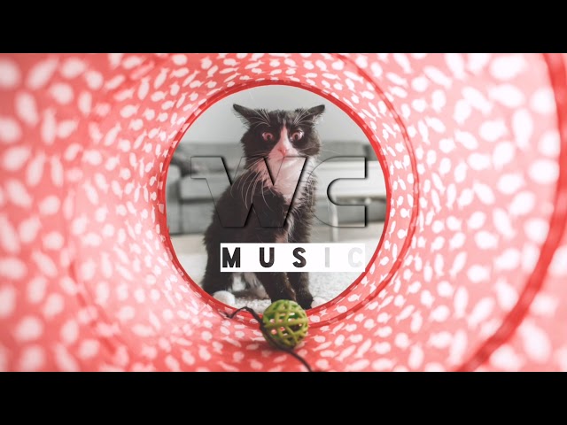 NoWay3 - Music by (PeriTune) | WC Music (No Copyright Music)