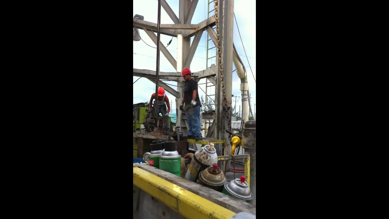 roughneck school  " two worms "