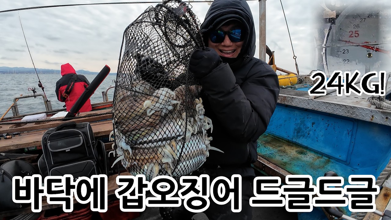 제주 갑오징어 기록 갱신 53마리! 봉돌 80호 달고도 바닥만 찍으면 나온다! #우아호 #엘디피시