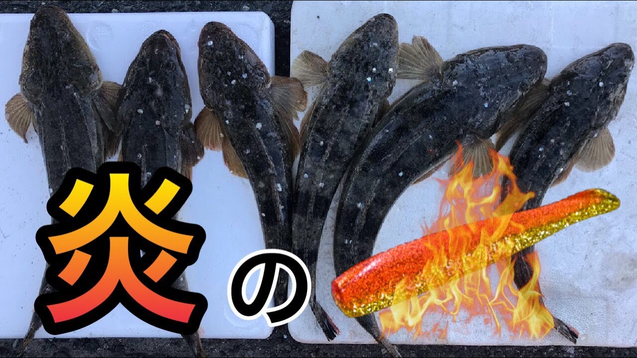 浜名湖 ボートフィッシングで爆釣 心を燃やせ 炎のボトムワインド Japanese Fishing In Shizuoka Subtitle Youtube 浜名湖 ボートフィッシングで爆釣 心を燃やせ 炎のボトムワインド Japanese Fishing In Shizuoka Subtitle Youtube