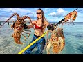 Snorkeling Unknown Waters Finding the Unexpected!! (Lobster Catch, Clean &amp; Cook)