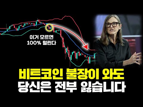 비트코인 불장 오기 전 반드시 알아둬야 할 매매법 총정리 (MACD·보조지표 활용법)