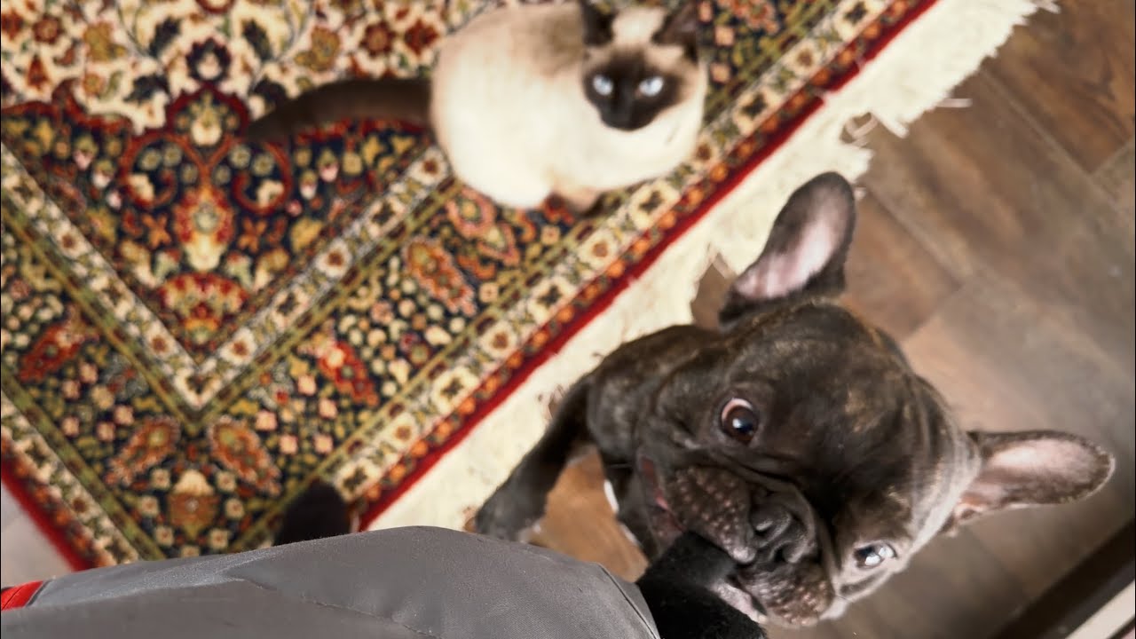 I Started Feeding the Birds… Now Shani Has Plans