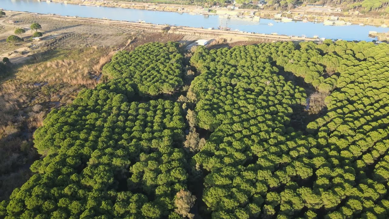 Kumköy - Belek / Antalya Sabah drone çekimi