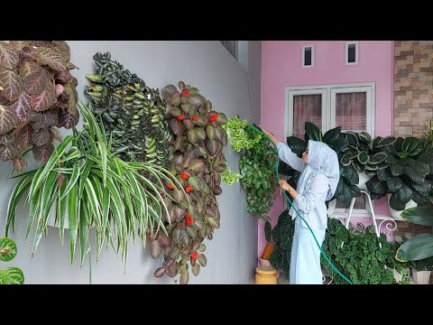 Cara Membuat Taman Bunga Gantung