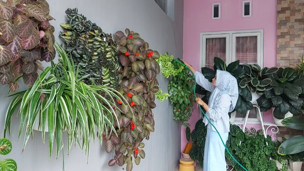 Tanaman hias di halaman depan rumah singgah | minim perawatan tapi subur makmur