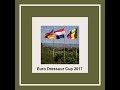 Euro dressage cup 2017