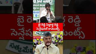 #byreddysiddarthareddy Sensational #comments |News Pulse Telugu News Updates#ysrcp #ap #ycp #latest