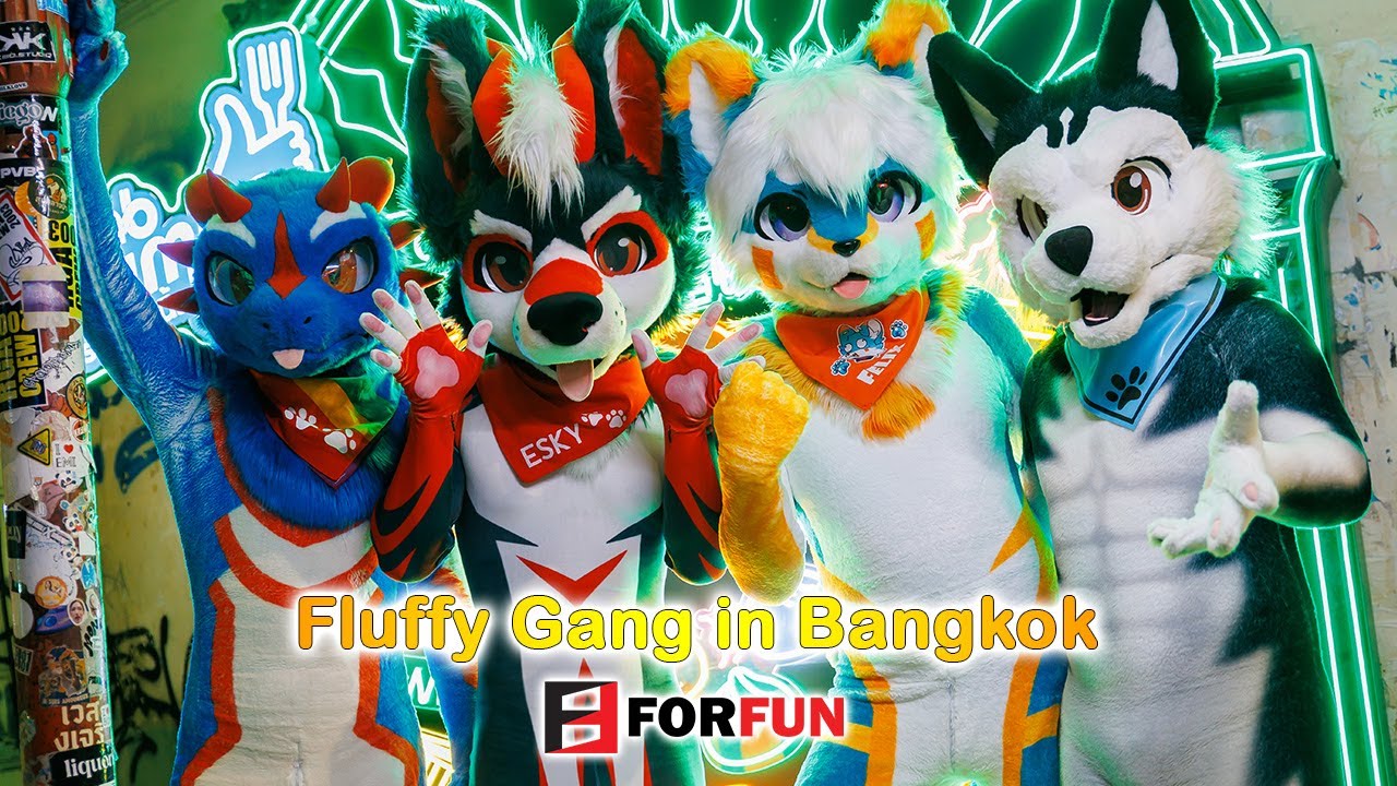 Пушистая банда в Бангкоке! 🐾​