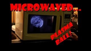 DON'T MICROWAVE THAT -- Plasma Globe