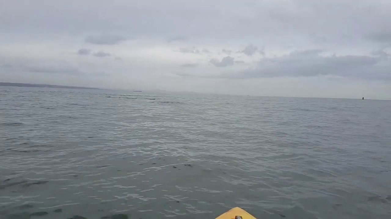 beautycon Kayaker Comes Face to Face With Humpback Whale