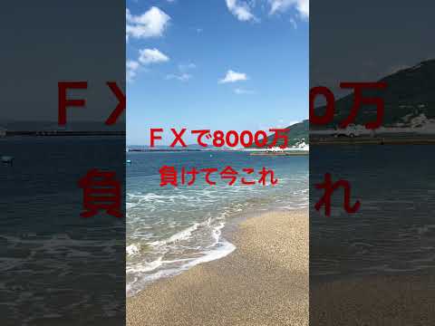 ＦＸで8000万負けて今これ #fx #投資