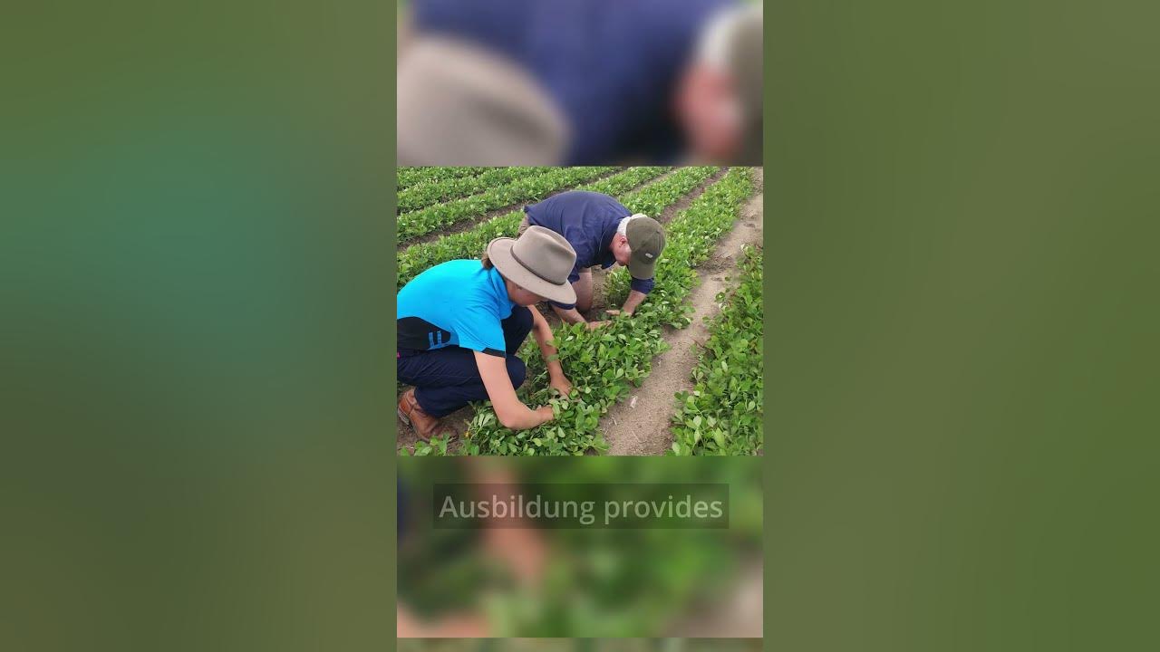 ausbildung-in-germany-job-certainty-shorts-youtube