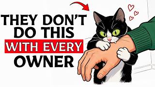 If Your Cat Does This, You're a Truly Great Owner