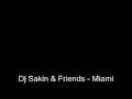 Dj Sakin & Friends - Miami