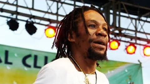 REGGAE ARTISTE ZEBRA : AN UNFORTUNATE SITUATION