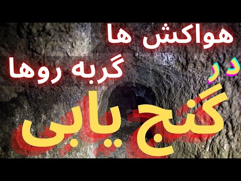 تصویری: گلسنگ در گربه ها چه شکلی است؟