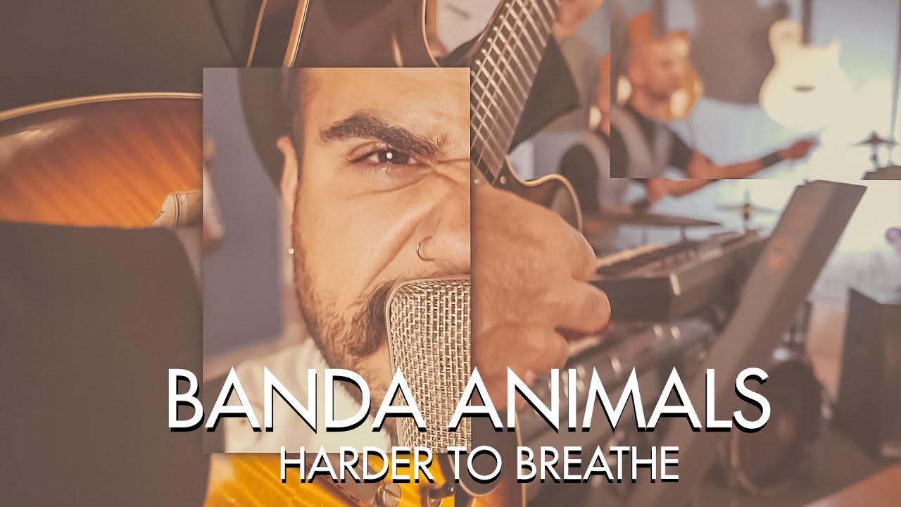Harder to Breathe - Maroon 5 (Banda Animals Cover)