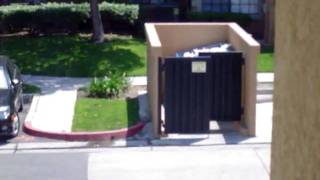 digging in dumpster