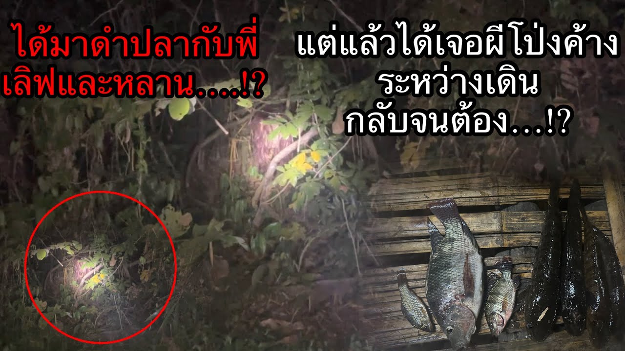 ได้กลับมาดำปลากับพี่เลิฟและหลานแต่แล้วระหว่างเดินทางมาบ้านได้เจอผีโป่งค้างจนต้อง….!?