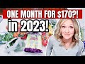 Budget Shopping For $170 a Month: Extreme Grocery Shopping | Grocery Budget 2023