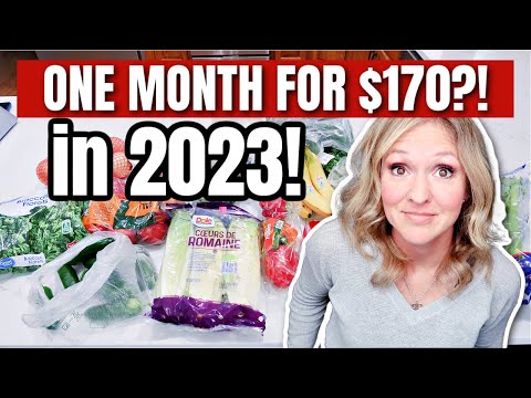 Budget Shopping For 170 a Month Extreme Grocery Shopping Grocery Budget 2023