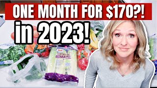 Budget Shopping For $170 a Month: Extreme Grocery Shopping | Grocery Budget 2023