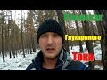 В поисках глухариного тока