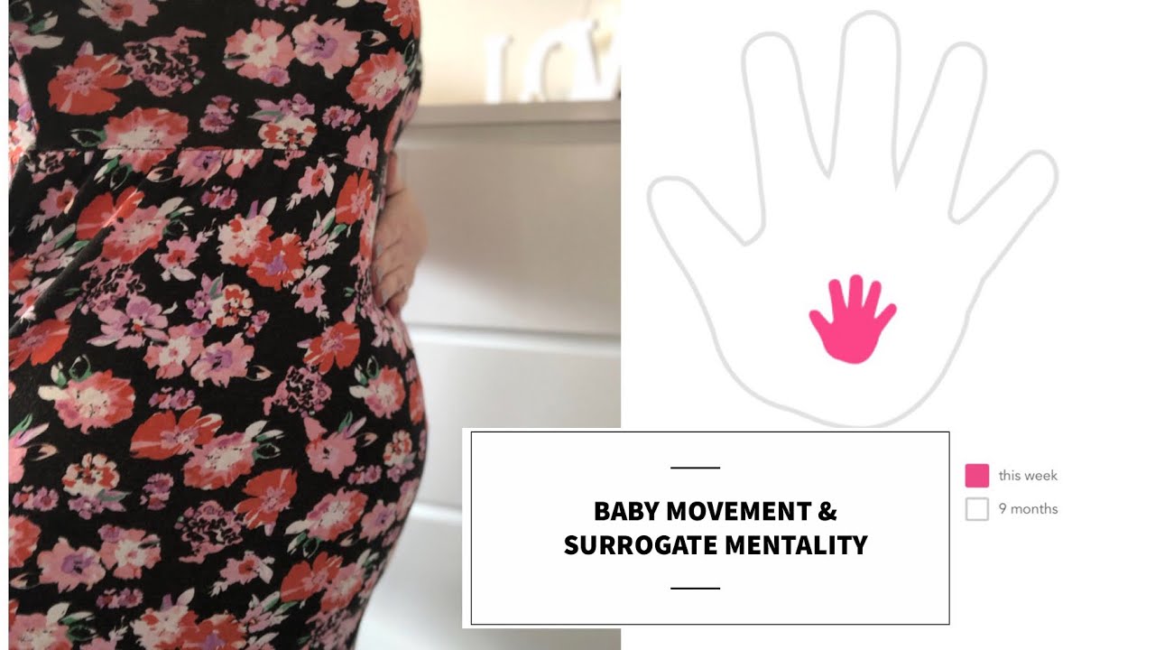 Surrogate Pregnancy week 13 | BABY MOVED & SURROGATES MENTALITY 