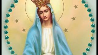 Pray Marys Rosary for All Holy Intentions of Our WFRN Family