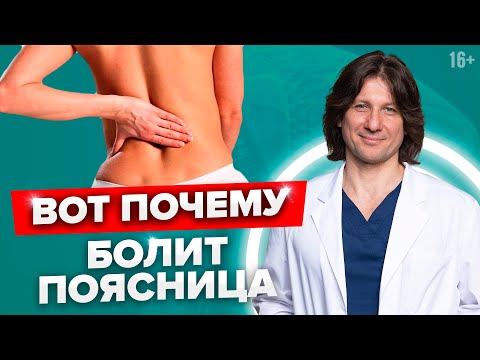 Самая частая причина боли в пояснице- Почему болит поясница #Shorts