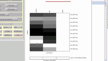 SPM: 2nd Level Covariates