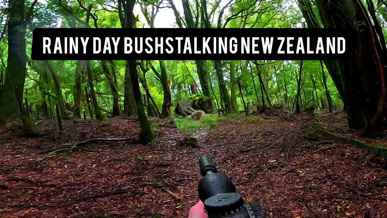 New Zealand Public Land Hunting Adventure YouTube