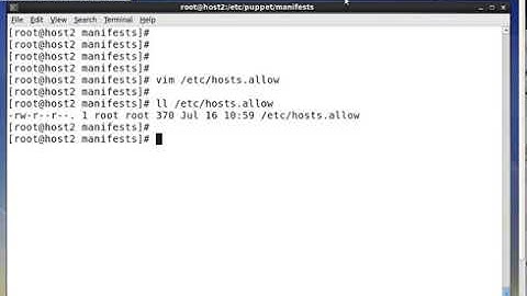 Puppet Auditing Feature