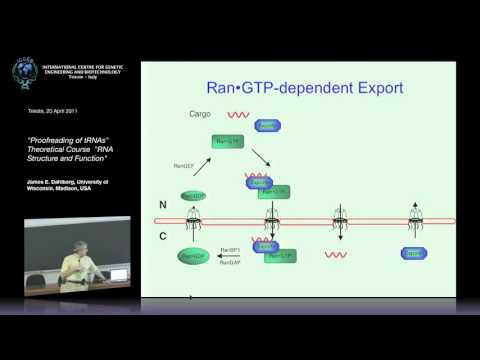 Video: Je, aminoacyl tRNA huundwaje?