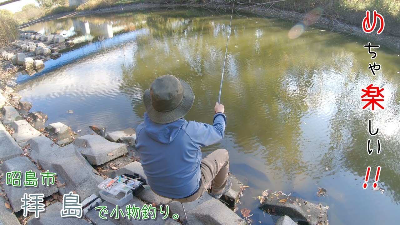めちゃ楽しい釣り！！ ワンドなら冬でも釣れますねー♪ 昭島市拝島の