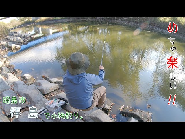 めちゃ楽しい釣り！！ ワンドなら冬でも釣れますねー♪ 昭島市拝島の