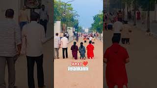Velankanni Miracle #prayer #tamilnadu #india ☦️ #subscribe #shortvideo #ytshort ⛪💟