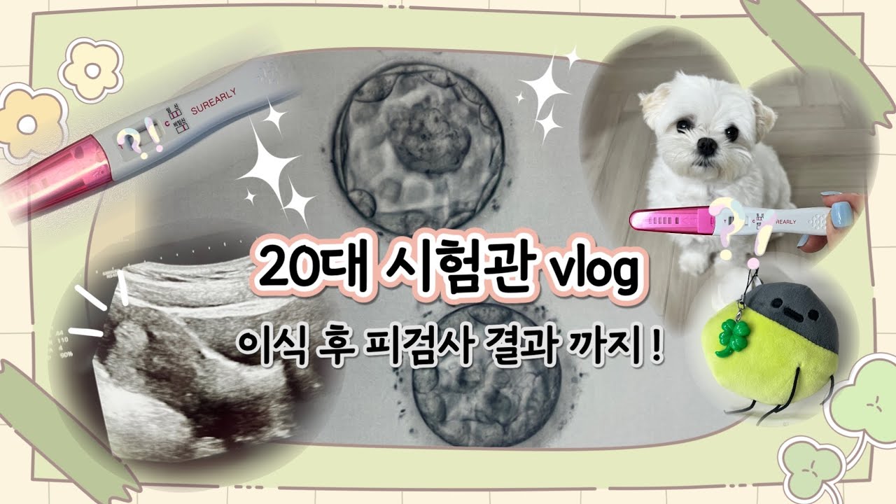 20대 시험관 vlog(2) | 5일배양 배아 이식 | 피검사부터 임테기 반응은?! | 이식 후 증상 | 끝이 없는 자가주사 💉