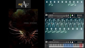 Auddict Angel Strings Vol. 1"First Look"