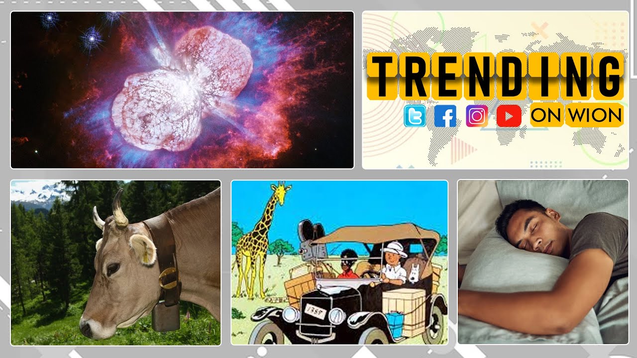 Tintin comic updates its book after facing criticism over racist content | WION