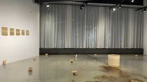 Erika Terwilliger - 2020 MFA Thesis