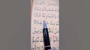 سورة النحل الأية 80 إلى 81 القارئ سعد الغامدي