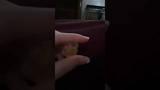 Gummy Bear Bullet Hole