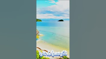 سورة التوبة و،،كا.نك تسمعها لأو.ل مر.ة❤️🏵️؛.💮🌻💙🌼💕بصوت الشيخ حمزة مدبو.ح💞💟💔💘؛💓💝💕💖